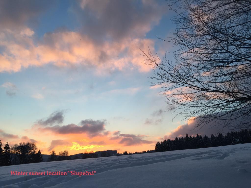 Apartmán Martin Lipno nad Vltavou Exteriér fotografie